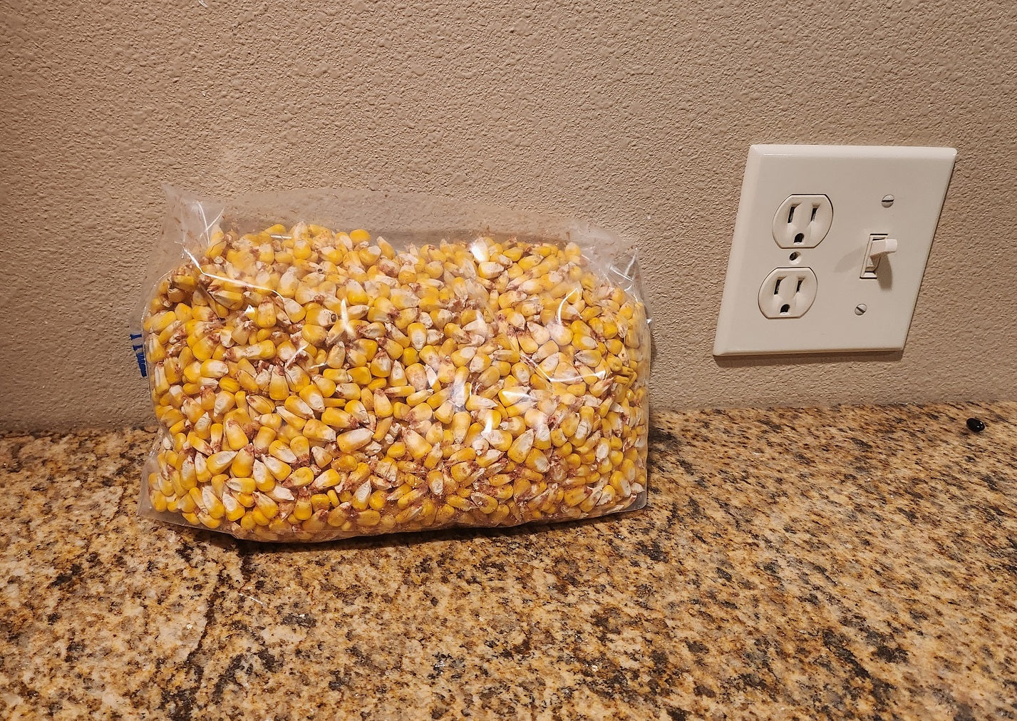 Corn for Home Grinding, 2 1/2 Pounds Non-GMO, "Chemically Free" Yellow Field Corn