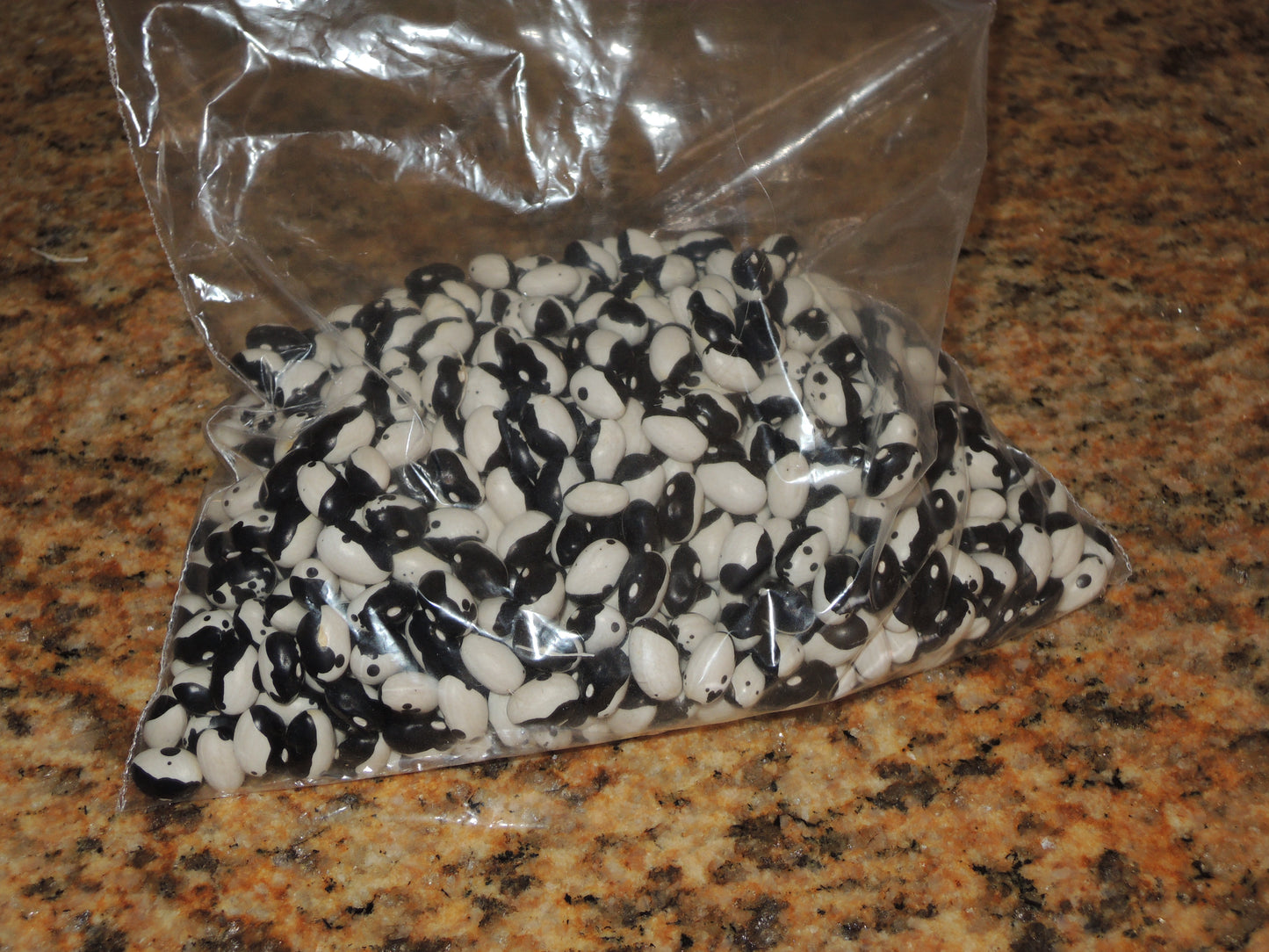 Calypso Shell Bean Seeds