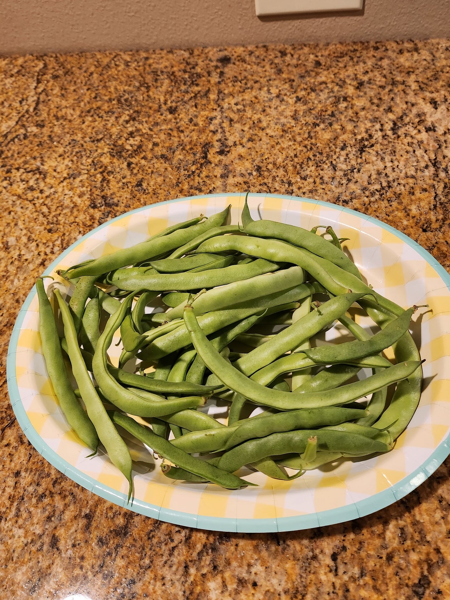 “Generic” Heirloom Green Bean seeds