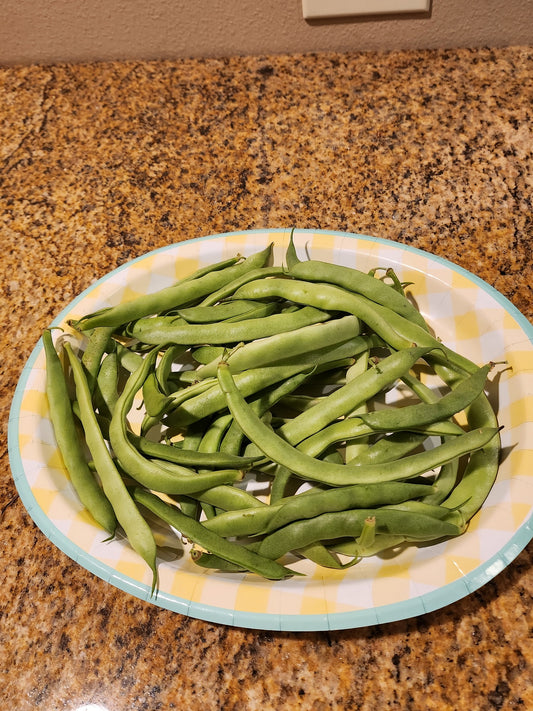 “Generic” Heirloom Green Bean seeds