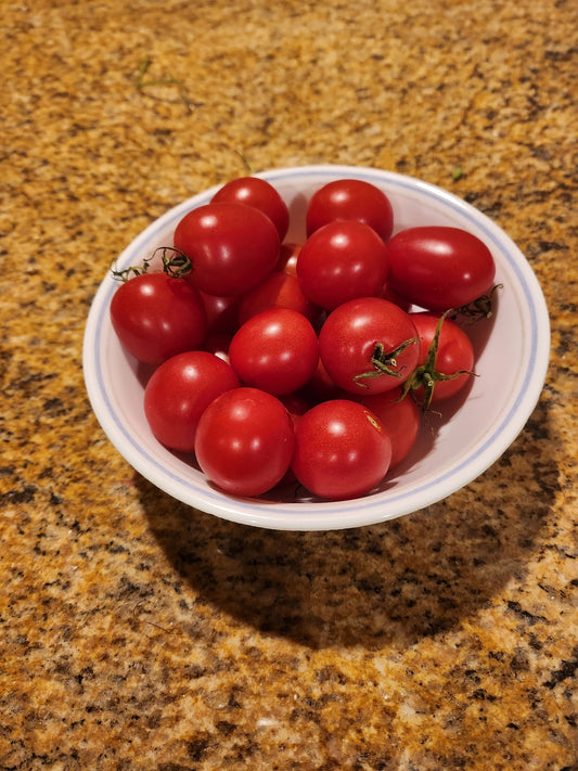 Large Red Cherry Tomato seeds