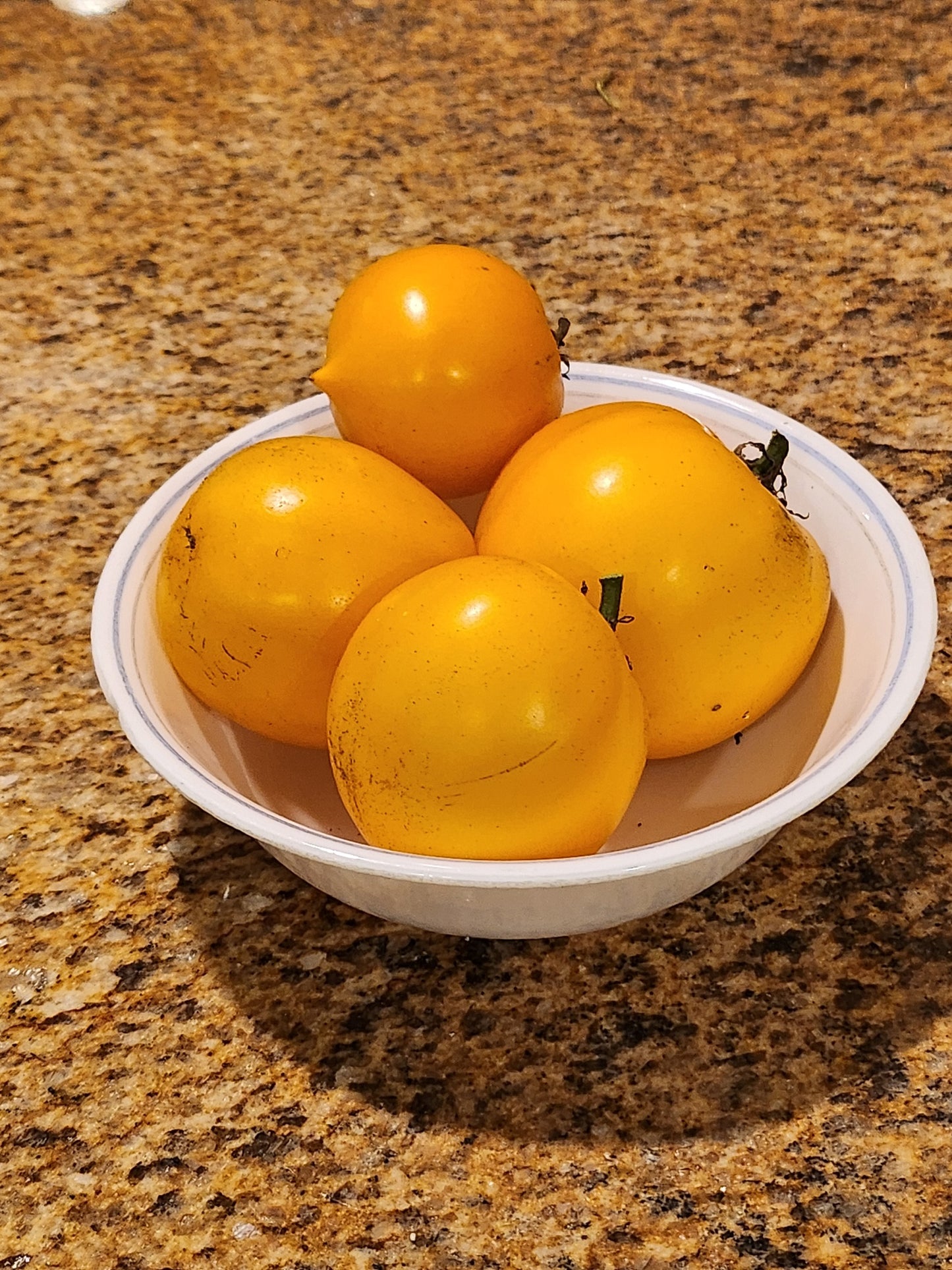 Lemon Boy Tomato seeds