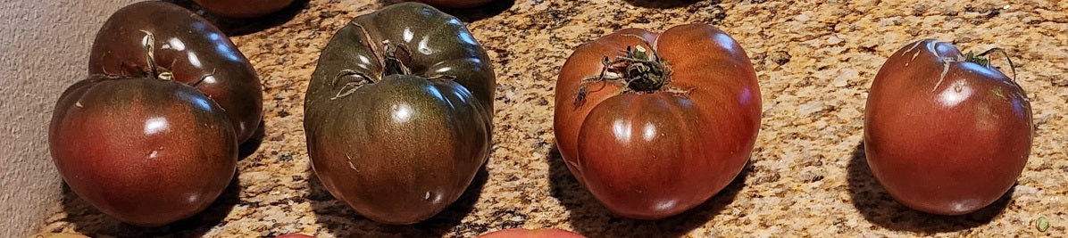 Purple Cherokee Tomato seeds