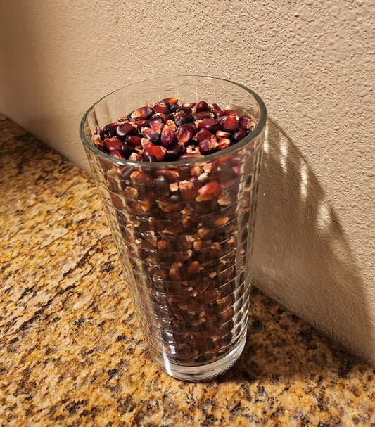 Bloody Butcher Corn Larger Patch Family Pack