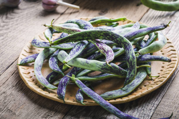 Rattlesnake Green Bean Seeds