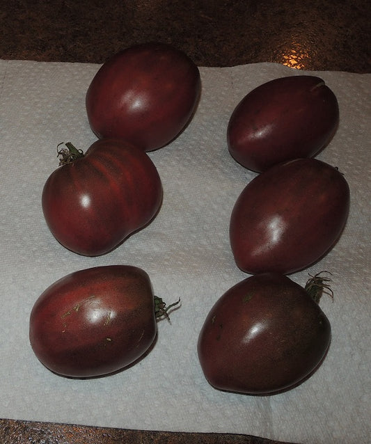 Black Sea Purple Tomato Seeds