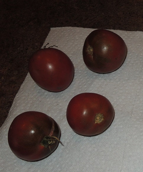 Black Krim Tomato Seeds