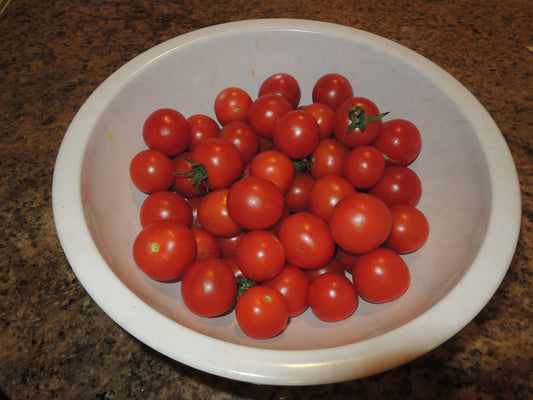 Large Red Cherry Tomato Seeds